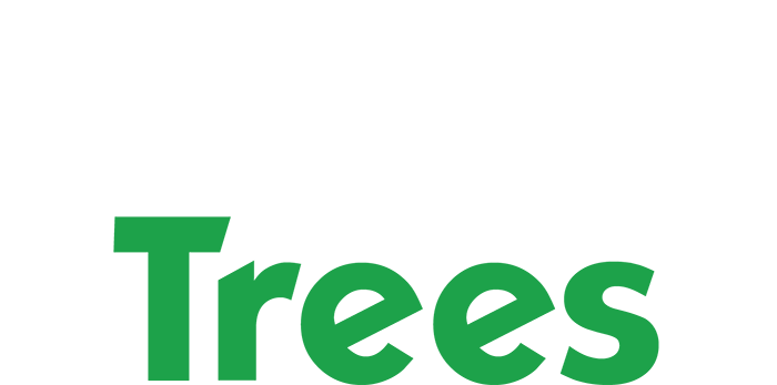 Always Trees